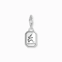 Online Breloque Charm signe du zodiaque Verseau en argent, ornée de pierres Femme Charms|Charms