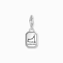 Best Sale Breloque Charm signe du zodiaque Capricorne en argent, ornée de pierres Femme Charms|Charms