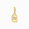 New Breloque Charm signe du zodiaque Verseau dorée, ornée de pierres Femme Charms|Charms
