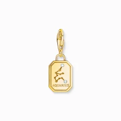 New Breloque Charm signe du zodiaque Verseau dorée, ornée de pierres Femme Charms|Charms
