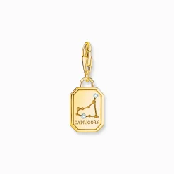 Best Sale Breloque Charm signe du zodiaque Capricorne dorée, ornée de pierres Femme Charms|Charms